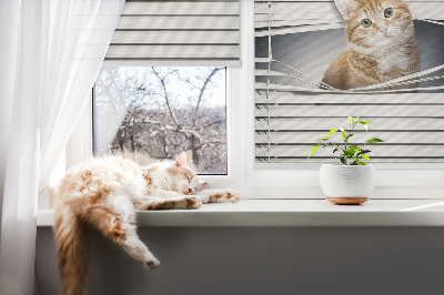Estor enrollable para ventana con diseño de gato pelirrojo
