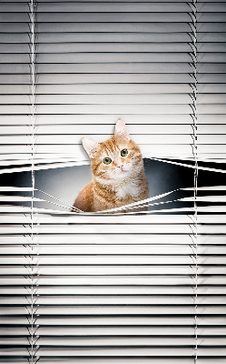 Estor enrollable para ventana con diseño de gato pelirrojo