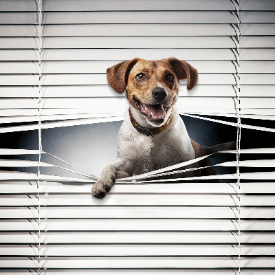 Estor enrollable para ventana con diseño de perro
