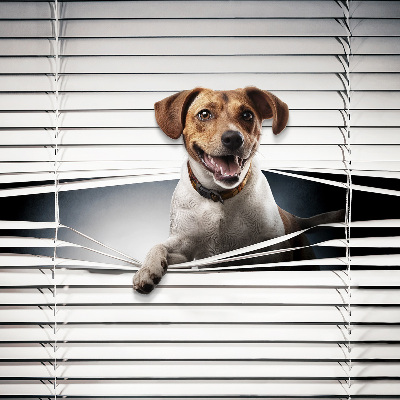 Estor enrollable para ventana con diseño de perro