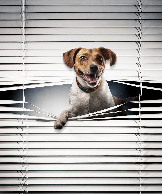 Estor enrollable para ventana con diseño de perro