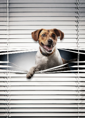 Estor enrollable para ventana con diseño de perro