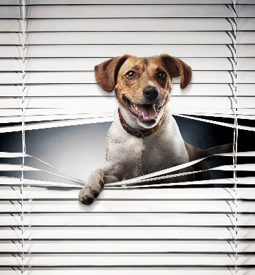 Estor enrollable para ventana con diseño de perro