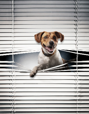 Estor enrollable para ventana con diseño de perro