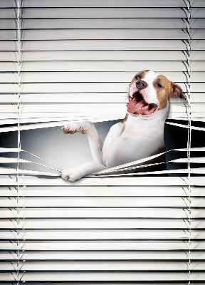 Estor enrollable con diseño de perro
