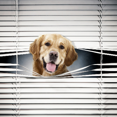 Modern roller blind con diseño de perro dorado