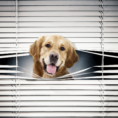 Modern roller blind con diseño de perro dorado