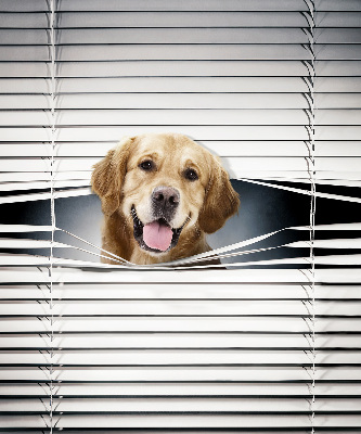 Modern roller blind con diseño de perro dorado