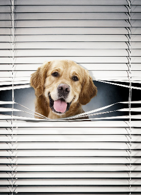 Modern roller blind con diseño de perro dorado