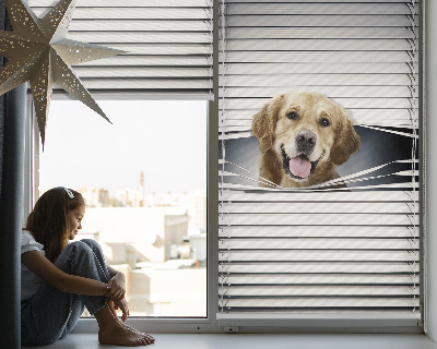 Modern roller blind con diseño de perro dorado