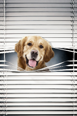Modern roller blind con diseño de perro dorado