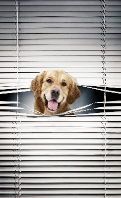 Modern roller blind con diseño de perro dorado
