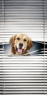 Modern roller blind con diseño de perro dorado