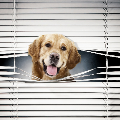 Modern roller blind con diseño de perro dorado