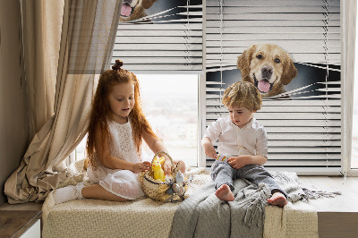 Modern roller blind con diseño de perro dorado