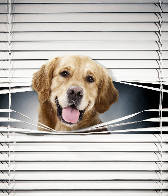 Modern roller blind con diseño de perro dorado