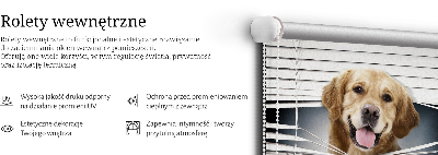 Modern roller blind con diseño de perro dorado