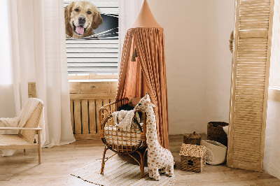 Modern roller blind con diseño de perro dorado