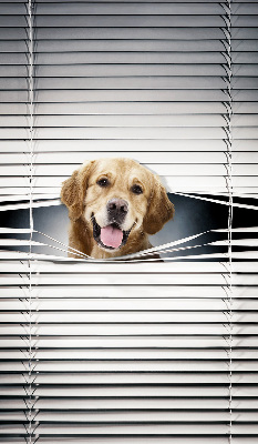 Modern roller blind con diseño de perro dorado
