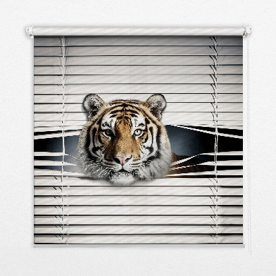 Estor enrollable para ventana con estampado de tigre