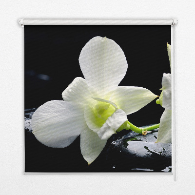 Estor decorativo con diseño de orquídeas y elegancia