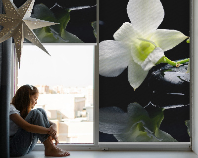 Estor decorativo con diseño de orquídeas y elegancia