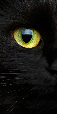 Estor decorativo ojos de gato
