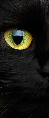 Estor decorativo ojos de gato