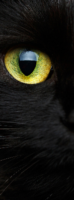 Estor decorativo ojos de gato