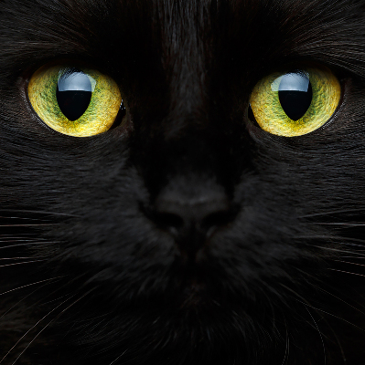 Estor decorativo ojos de gato