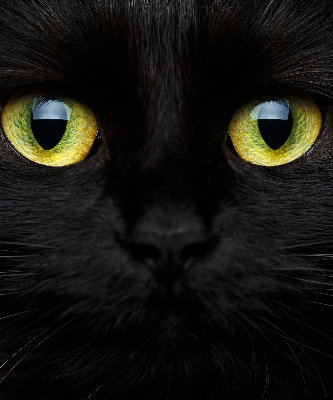 Estor decorativo ojos de gato