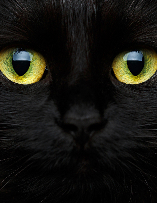 Estor decorativo ojos de gato