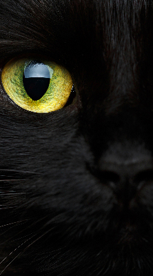 Estor decorativo ojos de gato