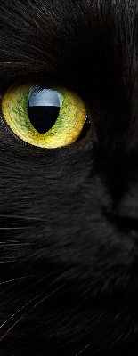 Estor decorativo ojos de gato