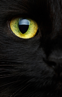 Estor decorativo ojos de gato