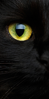 Estor decorativo ojos de gato