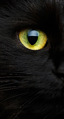 Estor decorativo ojos de gato