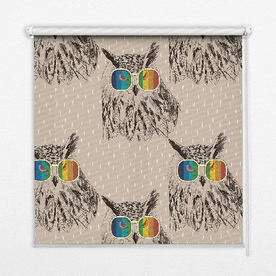 Estor enrollable de tela con diseño de búhos en gafas de colores