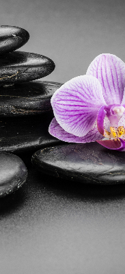 Estor decorativo con motivo de orquídea sobre las piedras