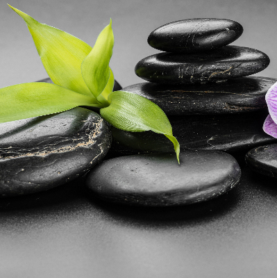 Estor decorativo con motivo de orquídea sobre las piedras