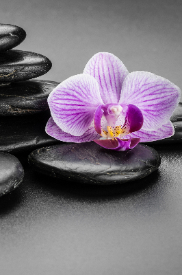 Estor decorativo con motivo de orquídea sobre las piedras