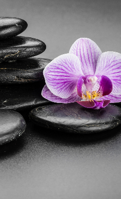 Estor decorativo con motivo de orquídea sobre las piedras