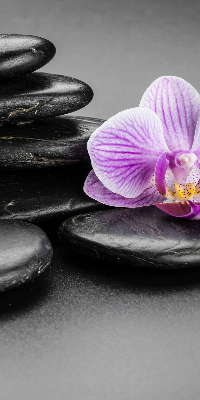 Estor decorativo con motivo de orquídea sobre las piedras