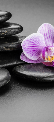 Estor decorativo con motivo de orquídea sobre las piedras