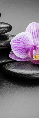 Estor decorativo con motivo de orquídea sobre las piedras