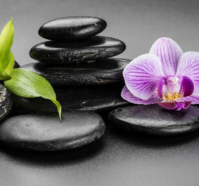 Estor decorativo con motivo de orquídea sobre las piedras
