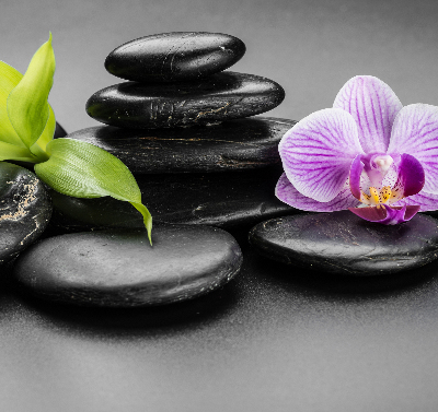 Estor decorativo con motivo de orquídea sobre las piedras