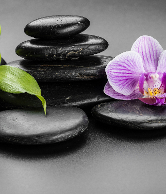 Estor decorativo con motivo de orquídea sobre las piedras