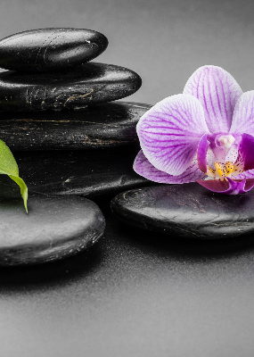 Estor decorativo con motivo de orquídea sobre las piedras