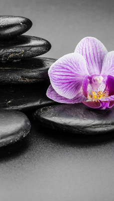 Estor decorativo con motivo de orquídea sobre las piedras